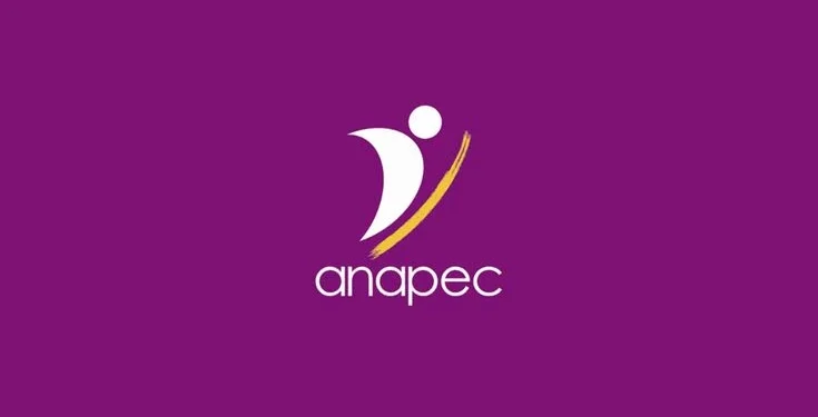 logo de l'anapec maroc