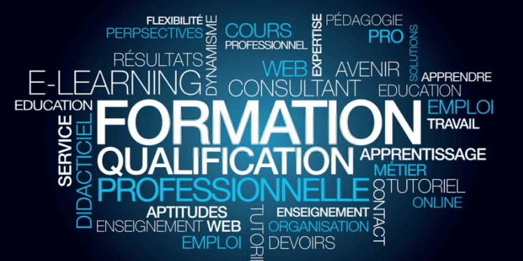 Formation développement professionnel